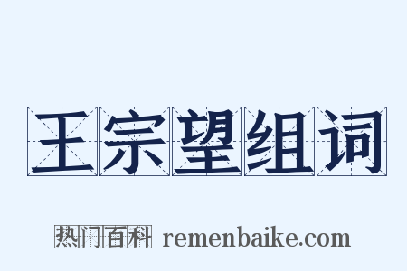 王宗望组词是什么意思的图片